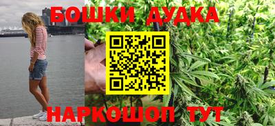 гидра Заводоуковск