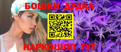 гидра Заводоуковск