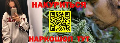 гидра Заводоуковск