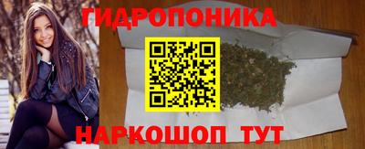 гидра Заводоуковск