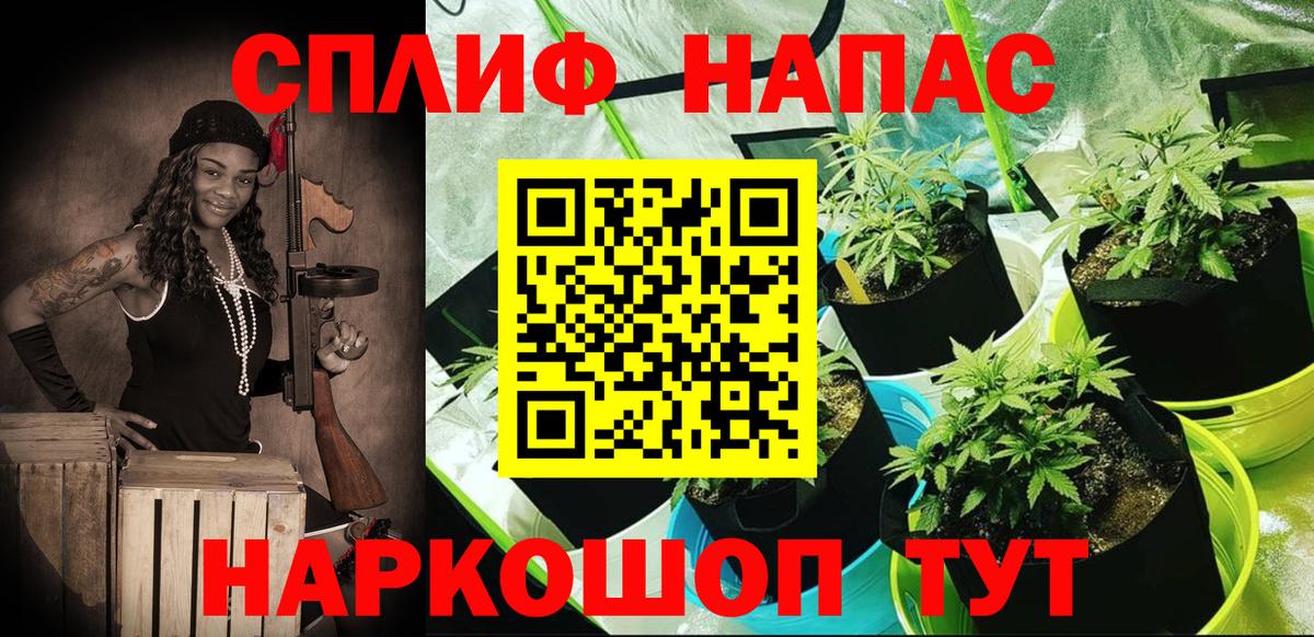 Конопля Amnesia  Вход с VPN  Конопля сатива  Люберцы 