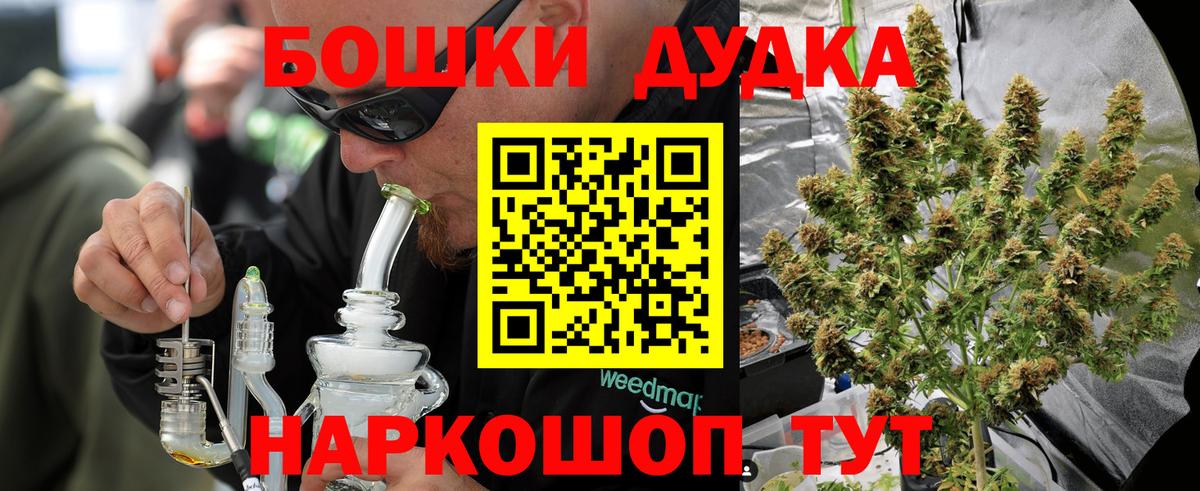 Конопля сатива Люберцы